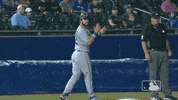 Regular Season Sport GIF by MLB