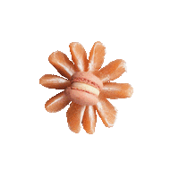 joemakroenchen summer sun sunshine sunny Sticker