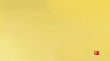 Borussia Dortmund Yes GIF by Bundesliga