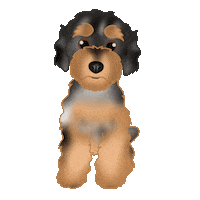 Dogs Heart Eyes Sticker by zoopeez