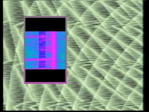 Video Art GIF by cskonopka