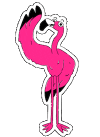 flashapp flash flamingo oi ola Sticker