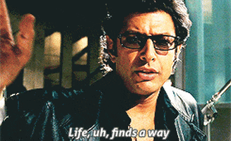 bad quality GIF