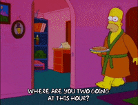 homer simpson episode 22 GIF