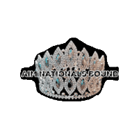 Aimnationals Sticker by America's International Miss