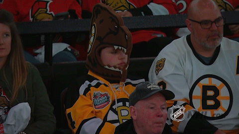 ice hockey GIF by NHL