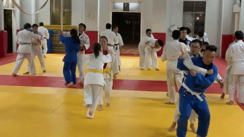 derricklin swift ippon GIF