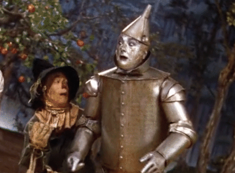 Movie gif. The Tinman from the 1939 Wizard of Oz film leans from side to side as Dorothy and The Scarecrow try to catch him. We follow The Tinman as he sways and the background moves around him, mimicking the feeling of being drunk.