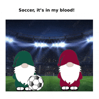 Sport Soccer GIF