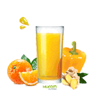 huromeurope yellow orange vegan juice Sticker