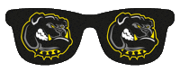 Americanfootball Sticker by Amberg Mad Bulldogs