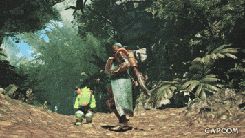 Video Game Hunter GIF by CAPCOM