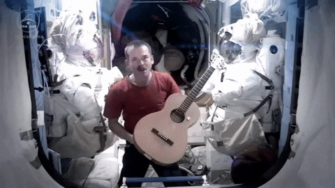 shashankangiras giphygifmaker GIF