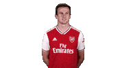 arsenal football soccer celebration celebrate Sticker