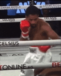Fight Boxing GIF by H2O Promotion