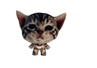 Dance Cat Sticker
