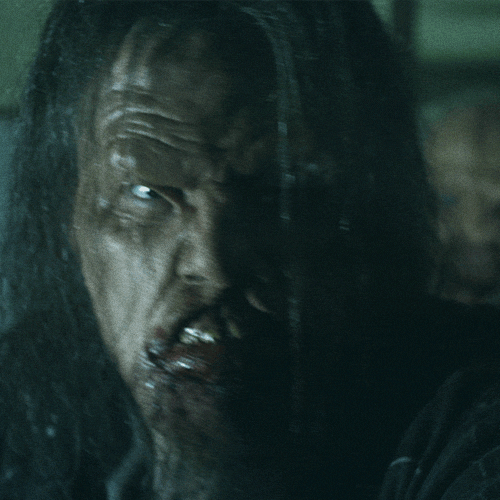 wrong turn GIF by foxhorror