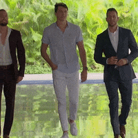 Season 6 Connor GIF by Bachelor in Paradise