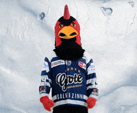 Mascot Tor GIF by Iserlohn Roosters