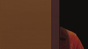 Leon Bridges GIF by Khruangbin