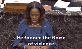 Stacey Plaskett GIF by GIPHY News