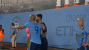 Happy Major League Soccer GIF by NYCFC