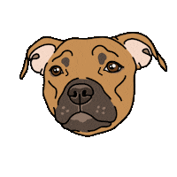 Harley International Dog Day Sticker by Rosedog