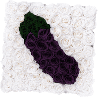 lafleurbouquets music rainbow fire emoji GIF