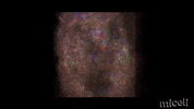 Contemporary Art Video GIF