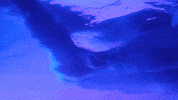 We Are The In Crowd Summer GIF by Sainte