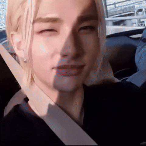 tamazin giphycreatortest skz straykids hyunjin GIF