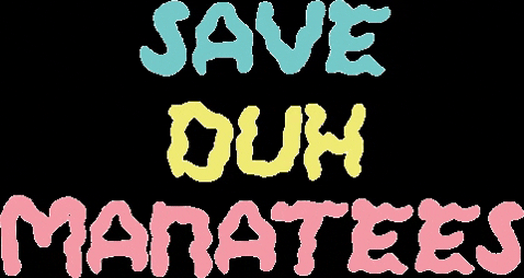 createskate giphygifmaker giphyattribution skate skateboard GIF