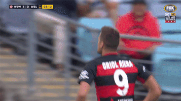 western sydney wanderers football GIF by wswanderersfc