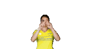 Var Fieldhockey Sticker by coelen