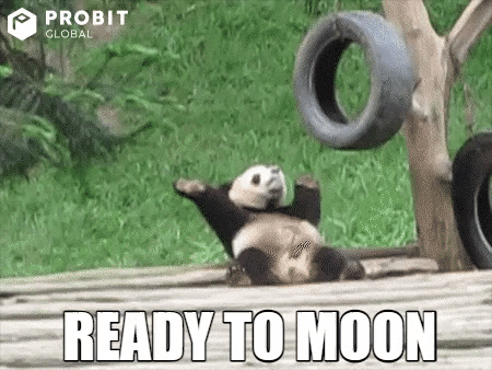 Happy Moon GIF by ProBit Global