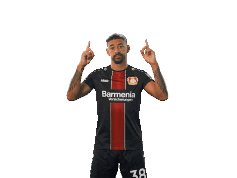 bundesliga swipeup Sticker by Bayer 04 Leverkusen