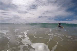 Shark Comes Between Dad and Daughter on New Zealand Beach