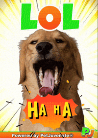 PetJuvenate petjuvenate henlo hooman fren love rescue dogs treatos and woofer for pupper GIF
