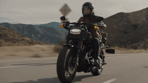 Ride GIF by Harley-Davidson