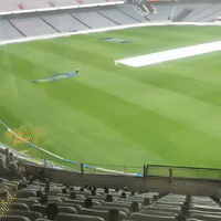 Pitch Invader Slides on Covers at New Zealand Test Match