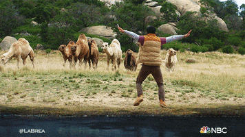 La Brea GIF by NBC