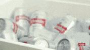 beer cerveza GIF by Schneider Arg