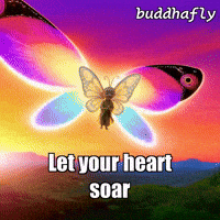 Unity Sky GIF by BuddhaFlyJourney