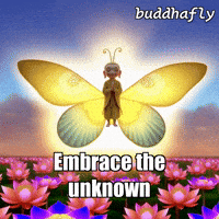 Peace Love GIF by BuddhaFlyJourney