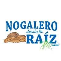 Raiz Nuez Sticker by Innovak Global