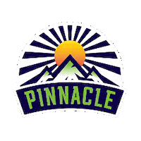 Pinnacle Sticker by F45 Training Kemang