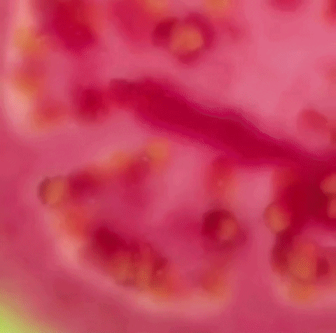 DumontCreamery dumont dumontcreamery redguavaicecream redguava GIF