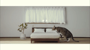 GIF by Mashable