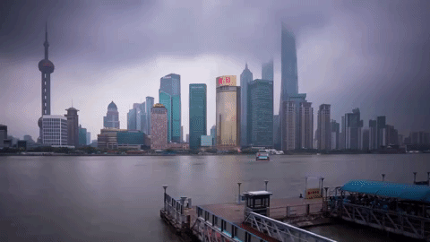 shang hai GIF