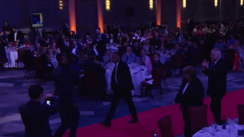 Happy Red Carpet GIF by 88visual